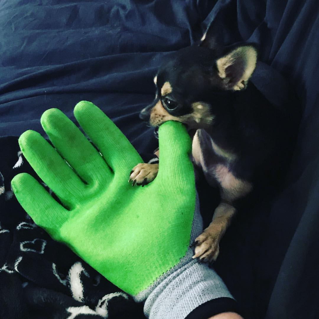 Superior Glove® Dexterity® Punkban™ Gloves